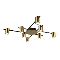 Потолочная люстра Aployt Elwisia APL.633.07.08 - цена и фото