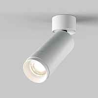 Maytoni Потолочный светильник Focus Zoom C055CL-L12W4K-Z-W - цена и фото