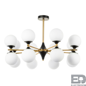 Потолочная люстра Arte Lamp Mimosa A3649PL-16PB - цена и фото