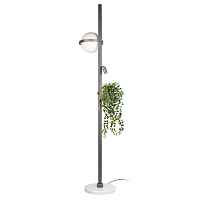 Торшер Loft IT Jardin 10121/F Dark grey - цена и фото Торшер Loft IT Jardin 10121/F Dark grey - цена и фото