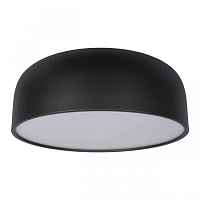 Потолочный светильник Axel 10201/480 Black - цена и фото