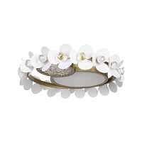 Потолочный светодиодный светильник Loft IT Bride 10173 - цена и фото