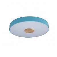 Потолочный светильник Loft IT Axel 10003/24 Blue - цена и фото