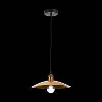 Светильник подвесной ST-Luce Romo SL1017.203.01 - цена и фото Светильник подвесной ST-Luce Romo SL1017.203.01 - цена и фото