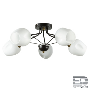 Потолочный светильник Arte Lamp BRIGHTON A2706PL-5CK - цена и фото