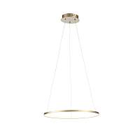 Светильник подвесной ST-Luce ERTO SL904.203.01 - цена и фото