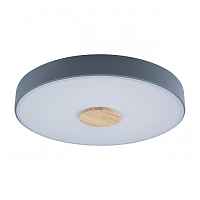 Потолочный светильник Loft IT Axel 10003/24 Grey - цена и фото