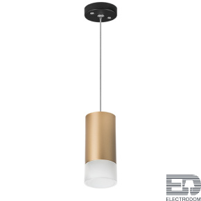 Lightstar Комплект со светильником Rullo RP44031 - цена и фото