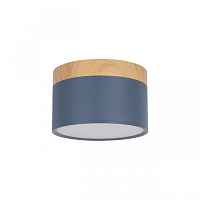 Накладной светодиодный светильник Loft IT Grape 10162 Blue - цена и фото
