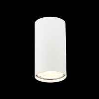 Потолочный светильник ST-Luce ST110.507.01 - цена и фото