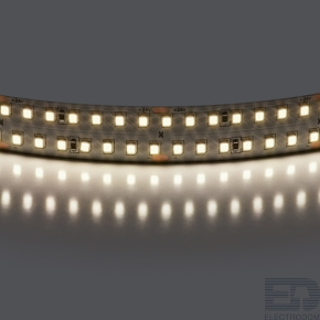 Лента белого свечения 24V Lightstar Lightstar 422004 - цена и фото