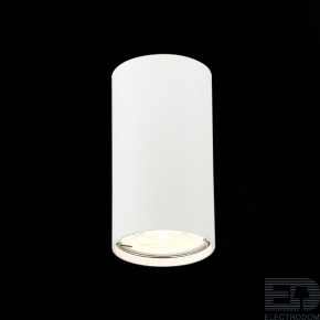 Потолочный светильник ST-Luce ST110.507.01 - цена и фото