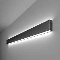 Настенный светодиодный светильник Elektrostandart 101-100-40-103 6500К черная шагрень