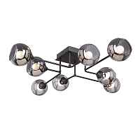 Потолочная люстра Vitaluce V4795-1/8PL - цена и фото Потолочная люстра Vitaluce V4795-1/8PL - цена и фото
