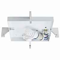 Накладной светильник Paulmann Basic HF-Sensor 70126 - цена и фото Накладной светильник Paulmann Basic HF-Sensor 70126 - цена и фото