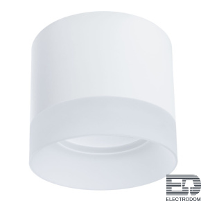 Светильник накладной Arte Lamp Castor A5554PL-1WH - цена и фото