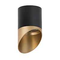 Lightstar Комплект со светильником Rullo R34871490 - цена и фото Lightstar Комплект со светильником Rullo R34871490 - цена и фото