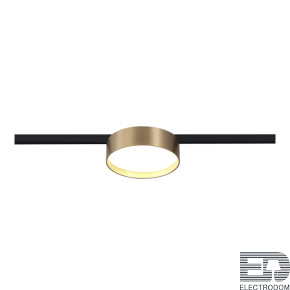 ST670.336.12 Магнитный трековый светильник Латунь LED 1*12W 3000K 500Lm Ra>80 100° IP20 D113xH34 24V - цена и фото