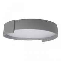 Потолочный светильник Coin 10200 Grey - цена и фото