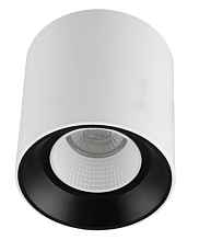 Накладной светильник Denkirs DK3040 DK3090-WB+WH - цена и фото Накладной светильник Denkirs DK3040 DK3090-WB+WH - цена и фото