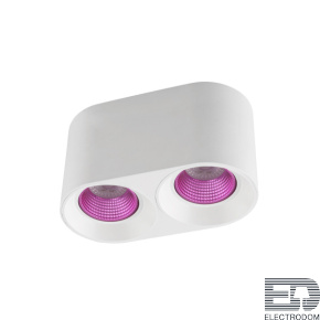 Накладной светильник Denkirs DK3040 DK3096-WH+PI - цена и фото