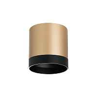 Lightstar Комплект со светильником Rullo R34903487 - цена и фото Lightstar Комплект со светильником Rullo R34903487 - цена и фото