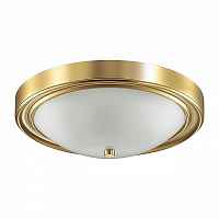 Светильник потолочный Lumion Nina 5259/3C - цена и фото Светильник потолочный Lumion Nina 5259/3C - цена и фото