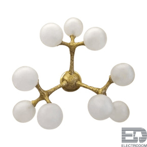 Бра L'Arte Luce Organic Atomic L04624 - цена и фото