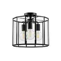 Люстра потолочная Lightstar Genni 798237 - цена и фото Люстра потолочная Lightstar Genni 798237 - цена и фото