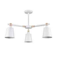 Потолочная люстра Lumion Moderni Rosalina 8097/3C - цена и фото Потолочная люстра Lumion Moderni Rosalina 8097/3C - цена и фото