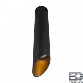 Точечный светильник Pilon-gold A1536PL-1BK - цена и фото