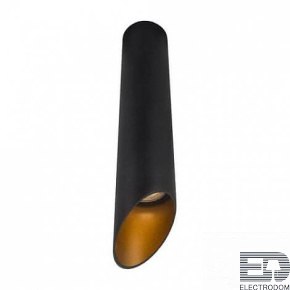 Точечный светильник Pilon-gold A1536PL-1BK - цена и фото