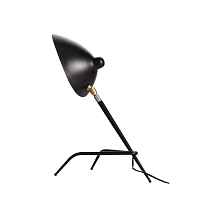 Настольная лампа ST-Luce SPRUZZO SL305.404.01 - цена и фото