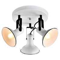 Спотовый светильник Lussole Loft FARGO LSP-8803 - цена и фото Спотовый светильник Lussole Loft FARGO LSP-8803 - цена и фото