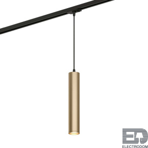 Трековый светильник Denkirs TUBE DK6210-BG - цена и фото