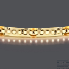 Лента белого свечения влагозащищенная 24V Lightstar Lightstar 421054 - цена и фото
