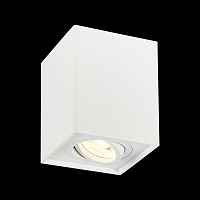 Потолочный светильник ST-Luce Quadrus ST109.507.01 - цена и фото