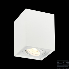 Потолочный светильник ST-Luce Quadrus ST109.507.01 - цена и фото