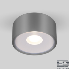 Уличный потолочный светильник Light LED 2135 IP65 35141/H серый - цена и фото
