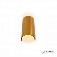 Настенный светильник iLedex Cute ZD8077-6W 3000K gold foil - цена и фото