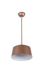 Подвесной светильник Arti Lampadari Tempo E 1.3.P1 BR - цена и фото