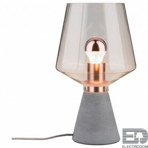 Настольная лампа декоративная Paulmann Yorik 79665 - цена и фото