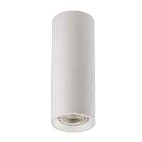 Потолочный светильник Megalight M02-65200 white