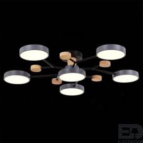 EVOLUCE SLE6006-702-06 Светильник потолочный Серый/Серый LED 6*12W 3000K/4500K/6000K - цена и фото