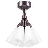 Lightstar Люстра потолочная Cone 757070 - цена и фото Lightstar Люстра потолочная Cone 757070 - цена и фото