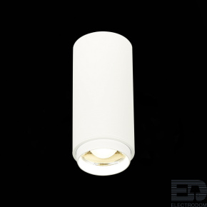 Светильник потолочный Zoom ST-Luce ZOOM ST600.542.10 - цена и фото