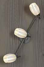 Настенно-потолочный светильник Brindisi Lussole LSX-6701-03 - цена и фото