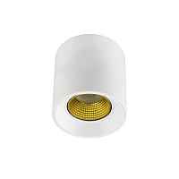 Накладной светильник Denkirs DK3040 DK3090-WH+YE - цена и фото Накладной светильник Denkirs DK3040 DK3090-WH+YE - цена и фото