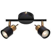 Светильник спот Arte Lamp Almach A1906PL-2BK - цена и фото Светильник спот Arte Lamp Almach A1906PL-2BK - цена и фото