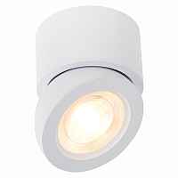 Светильник потолочный Белый LED 1*10W 3000K 850Lm Ra>90 38° IP20 D95xH96 180-240V ST654.532.10 - цена и фото